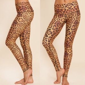 Poshmark TEEKI GOLD AWAKENING LEOPARD HOT PANTS